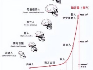 非洲人幸功能强大的基因研究【非洲人幸功能强大的基因研究：探索神秘的性能力密码】