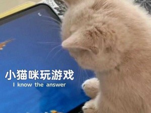 呆萌猫咪游戏攻略大揭秘：探索无限乐趣的游戏玩法分享