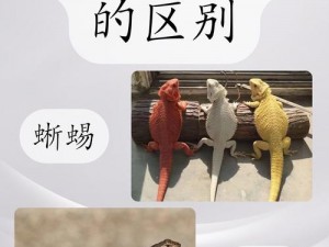 幼岩龙蜥栖息地探秘：揭秘它们的生活环境与秘密习性揭秘