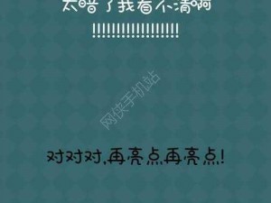 揭秘还有这种操作2：第20关攻略大全，探寻通关答案与操作技巧