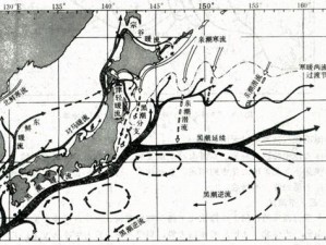 黑潮之上薇薇安固卡深度解析：海洋流变动因及其影响的综合分析