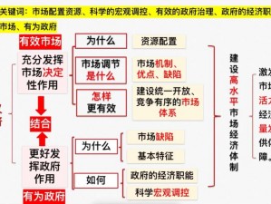 双排的真正含义：深入解析双排概念及其在现代社会中的应用