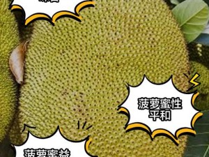 亚精产品一三三三菠萝蜜【亚精产品一三三三菠萝蜜，你了解多少？】