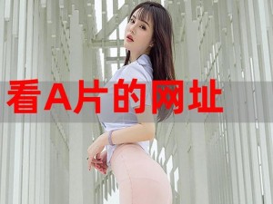 找AV导航、如何快速找到 AV 导航？