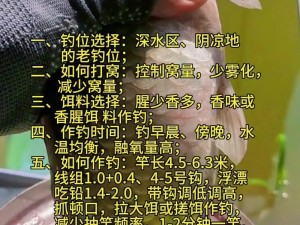 桃源深处人家钓鱼攻略：钓鱼技巧大揭秘，领略垂钓乐趣之道