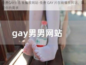 免费GAY片在线播放网站-免费 GAY 片在线播放网站，满足你的需求