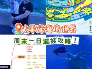 海洋探险家的生存指南：如何发掘深海财富，实现海上财富积累攻略