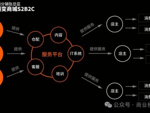 二对一的商务模式2—二对一商务模式 2：创新服务模式提升竞争力