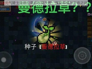 元气骑士曼德拉草的收获次数：探秘种植与丰收之谜