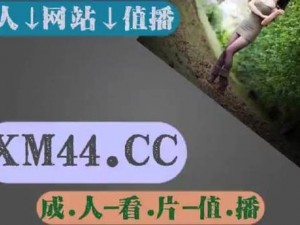 91 无人区码一二三四，你了解它们的区别吗？