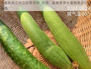 香蕉菠萝水蜜桃黄瓜丝瓜秋葵评测_评测：香蕉菠萝水蜜桃黄瓜丝瓜秋葵的口感与营养价值