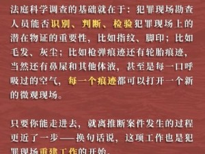 实事揭秘：揭示真相背后的关键十六字揭晓