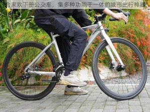 合家欢下册公交车，集多种功能于一体的城市出行神器