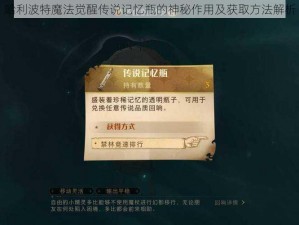 哈利波特魔法觉醒传说记忆瓶的神秘作用及获取方法解析