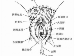 美女下部隐私(不遮挡)-美女下部隐私曝光，究竟是怎么回事？