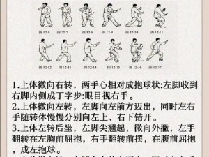 九阴真经手游太极剑攻略详解：太极剑招式图鉴与学习方法全解析