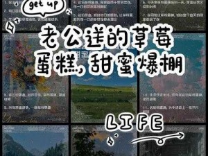 尘白禁区草莓蛋糕武器——少女心爆棚的甜蜜装备