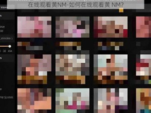 在线观看黄NM-如何在线观看黄 NM？