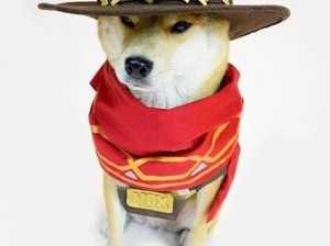 Doge风华再现：柴犬神COS守望先锋英雄的奇妙邂逅