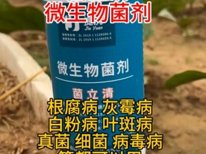 国产黄 A：适用于多种作物的高效杀菌剂