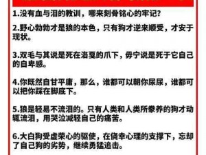 《代号息壤：建房之路——图腾心法全攻略》