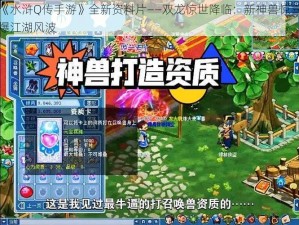 关于《水浒Q传手游》全新资料片——双龙惊世降临：新神兽惊喜出世，引爆江湖风波