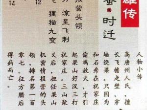 水浒英雄智斗时迁盗宝攻略：水浒梗传第十关突破秘籍