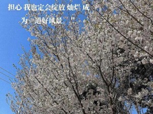 以让华夏绽放爱的光芒——以事实重塑人心向善的力量为