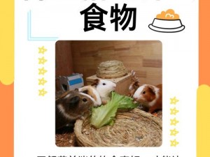 zooskoolknott 与和猪：高品质宠物食品，的宠物提供全面营养