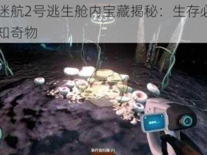 深海迷航2号逃生舱内宝藏揭秘：生存必需品与未知奇物