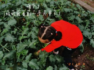 挤牛奶和拔萝卜能同吃吗 挤牛奶和拔萝卜能同吃吗？营养师：注意食用方式