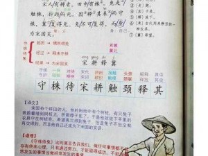 《红霞岛探秘者：如何解锁守株待兔成就的秘诀》