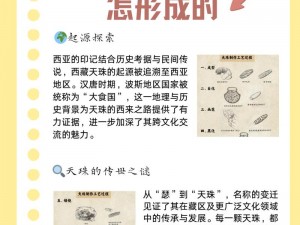 天玉经不传之秘：揭秘古代天文学的神秘面纱与遗失的智识珍宝