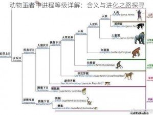 动物王者中进程等级详解：含义与进化之路探寻