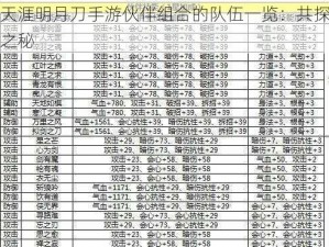 关于天涯明月刀手游伙伴组合的队伍一览：共探江湖伙伴之秘