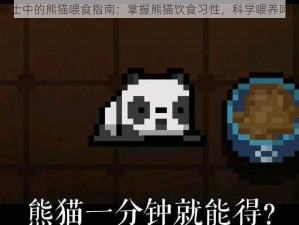 元气骑士中的熊猫喂食指南：掌握熊猫饮食习性，科学喂养呵护健康