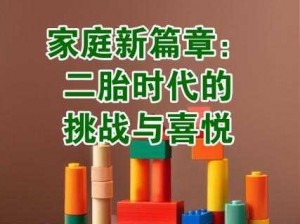 二胎时代家庭喜悦洋溢：全面安装与配置指南，开启幸福生活新篇章