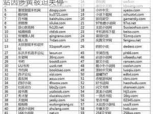 很黄很有趣的网站被迫关停-很黄很有趣的网站因涉黄被迫关停