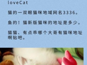 猫咪最新地域网名3336PT3 猫咪最新地域网名 3336PT3，你想知道它代表什么意思吗？