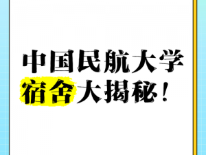 大学生宿舍飞机chinafree—如何在大学生宿舍中安全地使用飞机 chinafree？