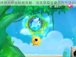 《球球大作战新版攻略：高效获取金蘑菇的方法分享》