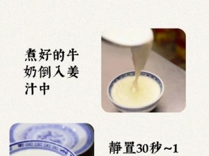 姜汁撞奶POH 如何制作美味的姜汁撞奶 POH？