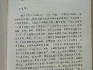 老骚男独家解读诸葛亮：智谋解析与实战做人教科书