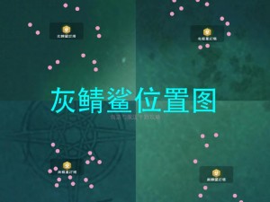 创造与魔法：驯服灰鲭鲨的挑战与奇迹——深海探险者之荣耀