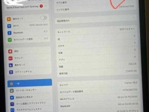 日本16岁MacBookPro—日本 16 岁少年拥有一台 MacBook Pro，这是怎么回事？