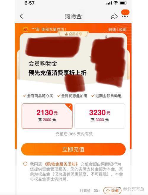 双11购物津贴使用攻略：最大化优惠，购物更轻松