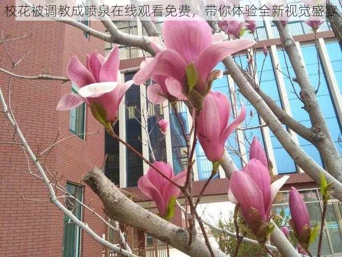 校花被调教成喷泉在线观看免费，带你体验全新视觉盛宴