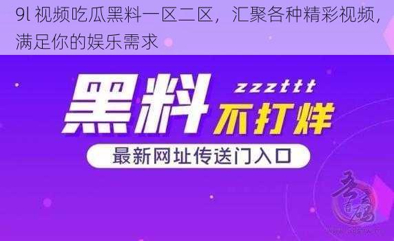 9l 视频吃瓜黑料一区二区，汇聚各种精彩视频，满足你的娱乐需求