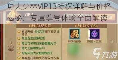 功夫少林VIP13特权详解与价格揭秘：专属尊贵体验全面解读