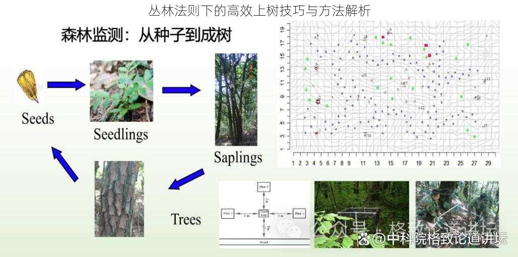 丛林法则下的高效上树技巧与方法解析